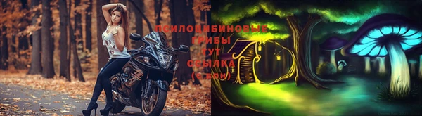 крисы Абинск