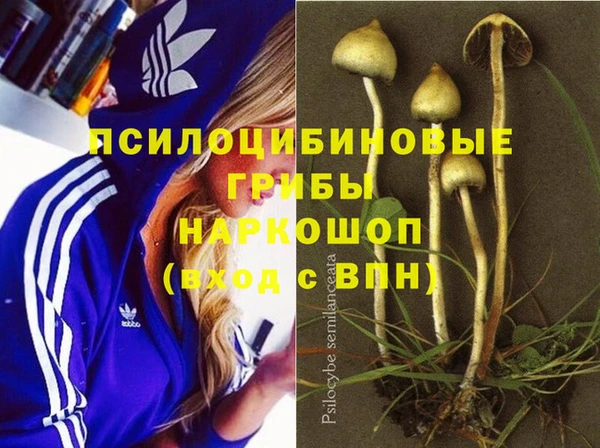 мдпв Лабытнанги