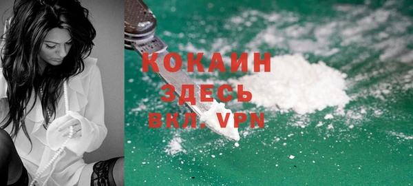 шишки Лагань
